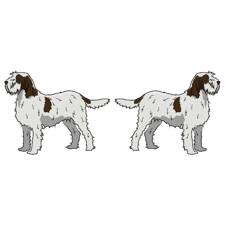 Signmission Spinoni Italiani Dog Decal, Dog Lover Decor Vinyl Sticker D-18-Spinoni Italiani